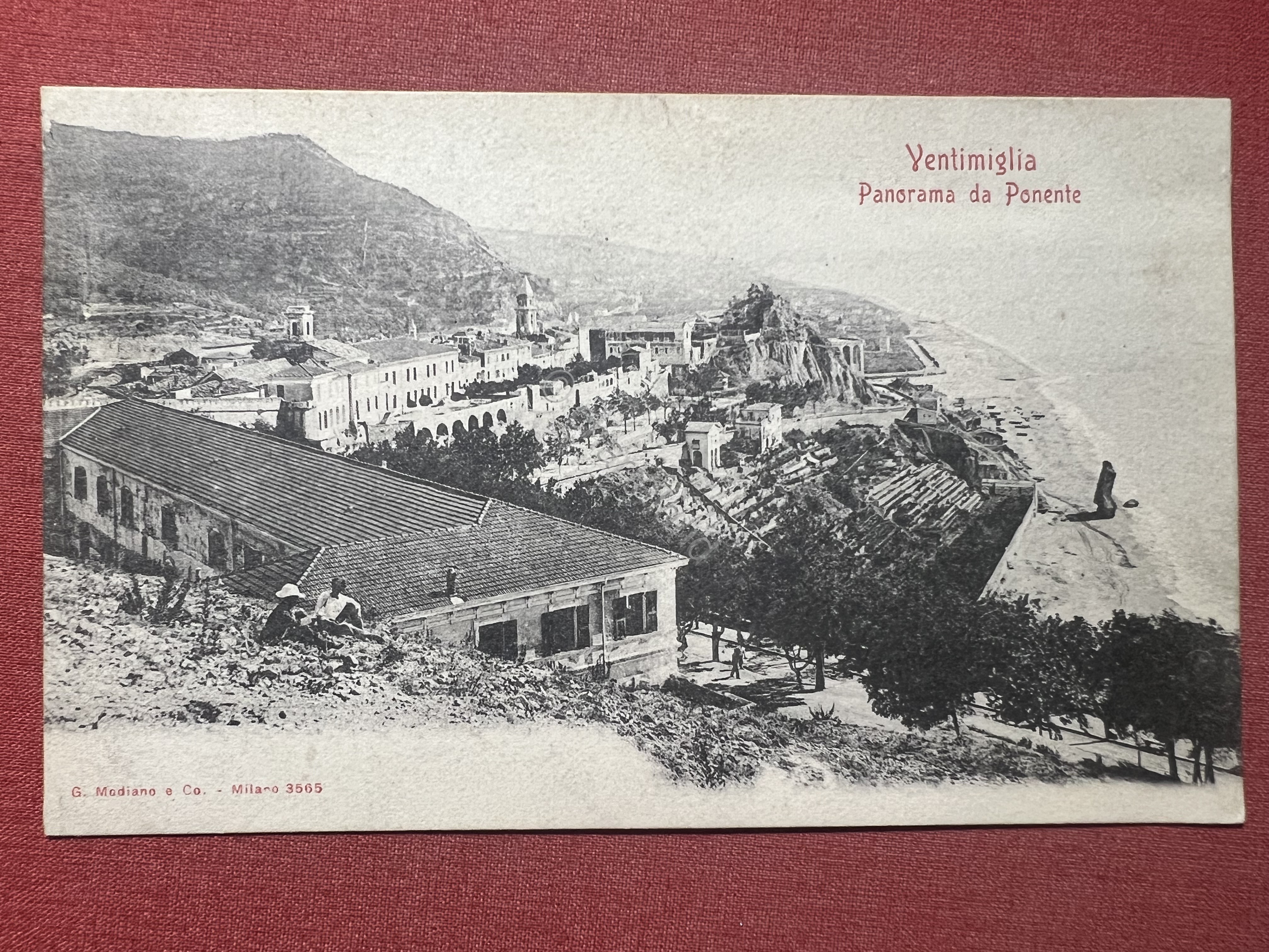 Cartolina - Ventimiglia ( Imperia ) - Panorama da Ponente …