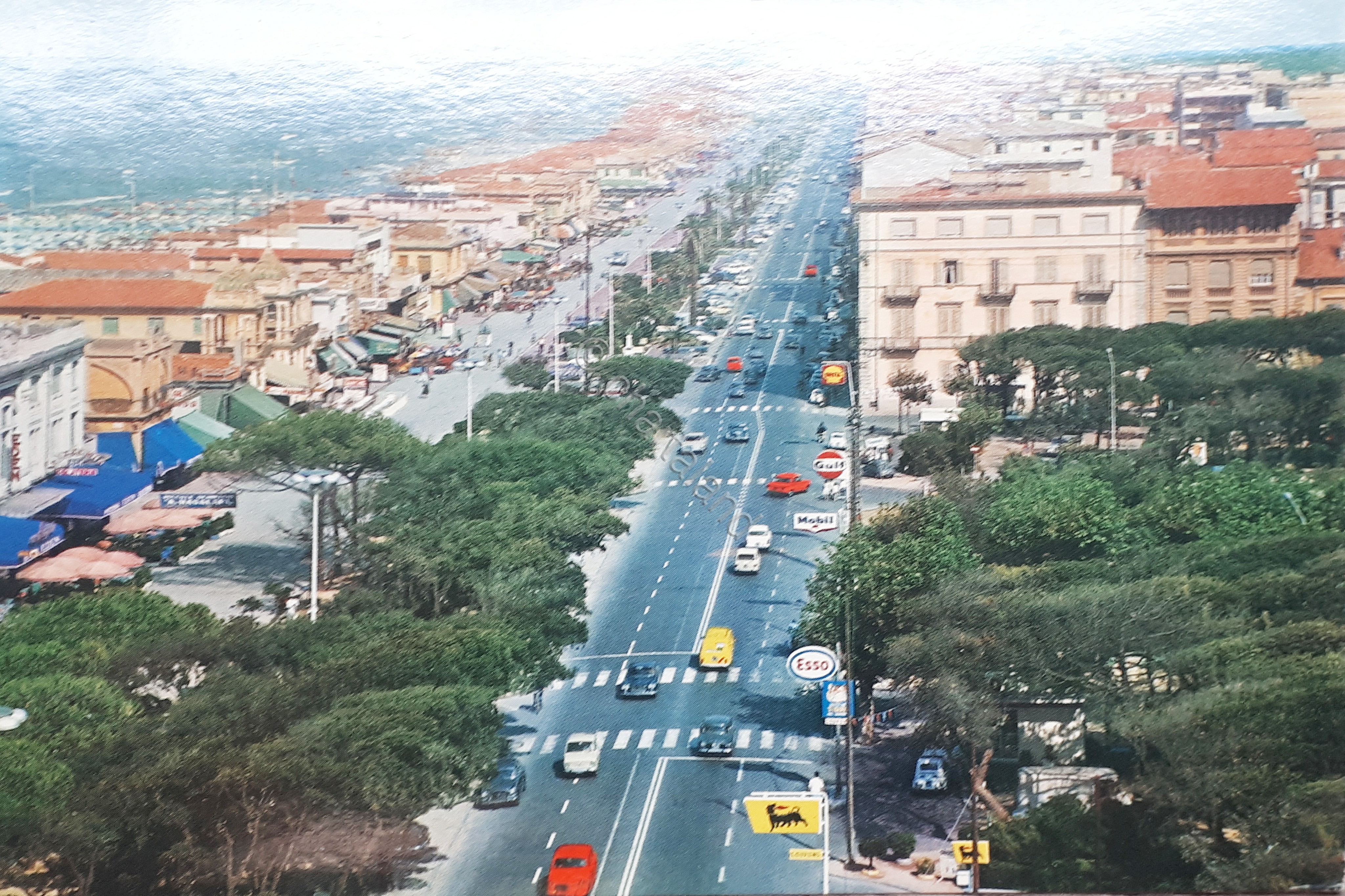 Cartolina - Viareggio - Viali Lungomare - 1967