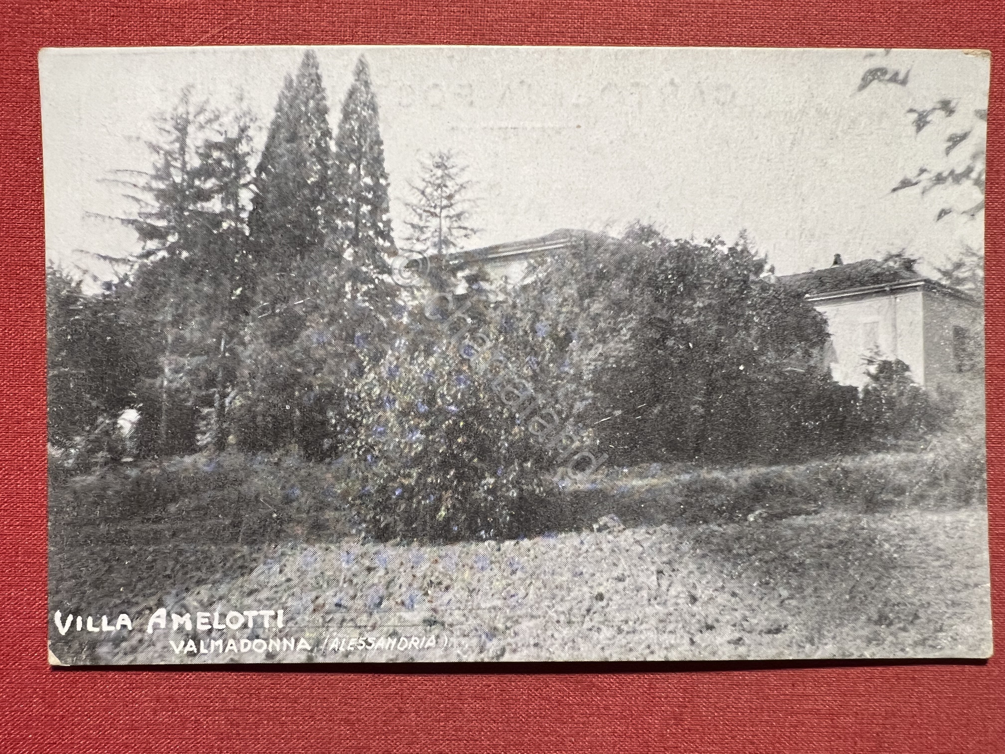 Cartolina - Villa Amelotti - Valmadonna ( Alessandria ) - …