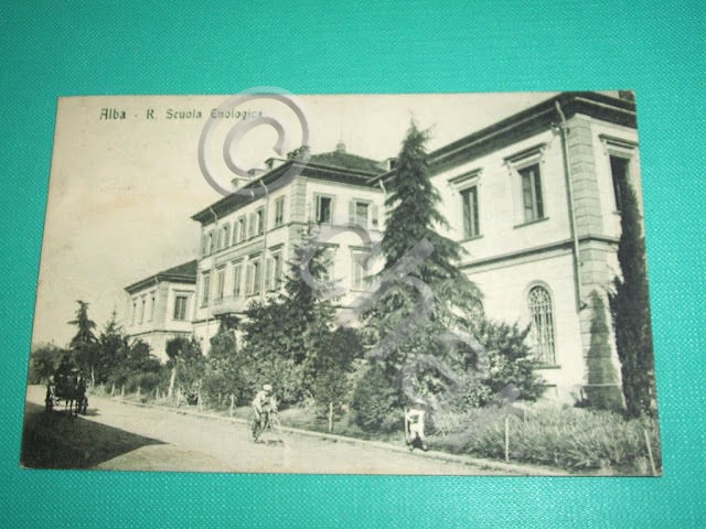 Cartolina Alba ( Cuneo ) - R. Scuola Enologica 1921.