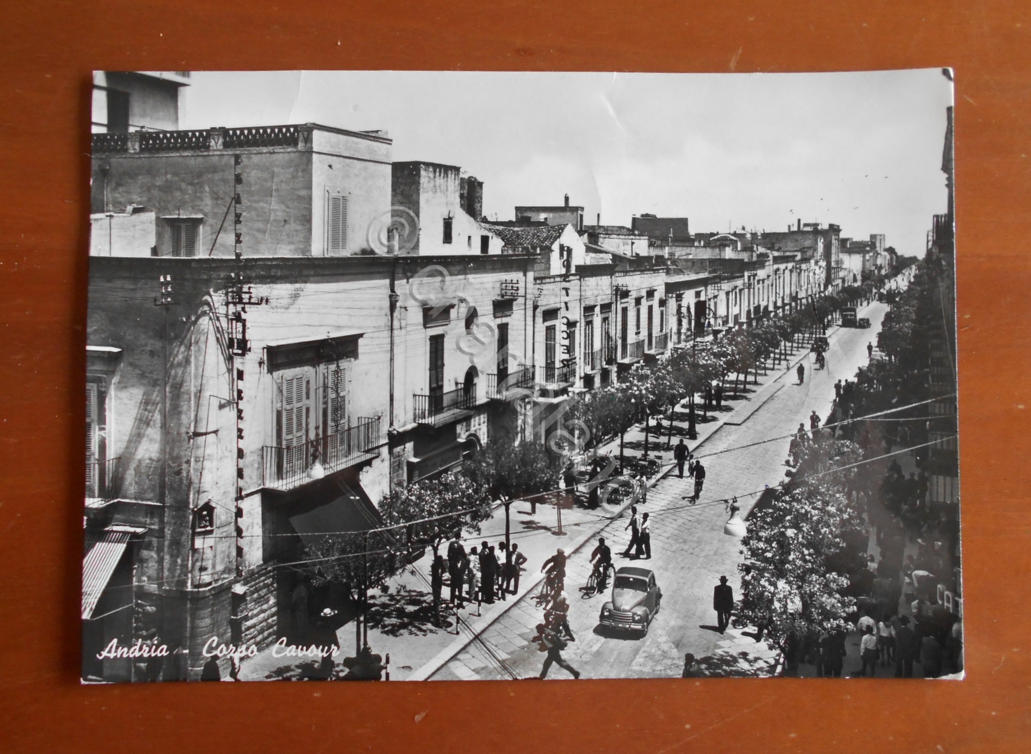 Cartolina Andria (Puglia) - Corso Cavour - 1954