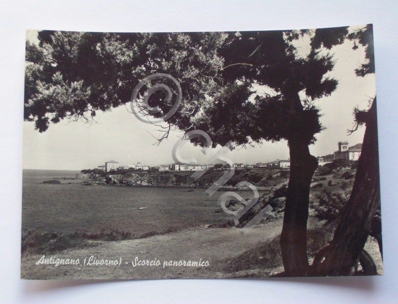 Cartolina Antignano ( Livorno ) Scorcio panoramico 1962