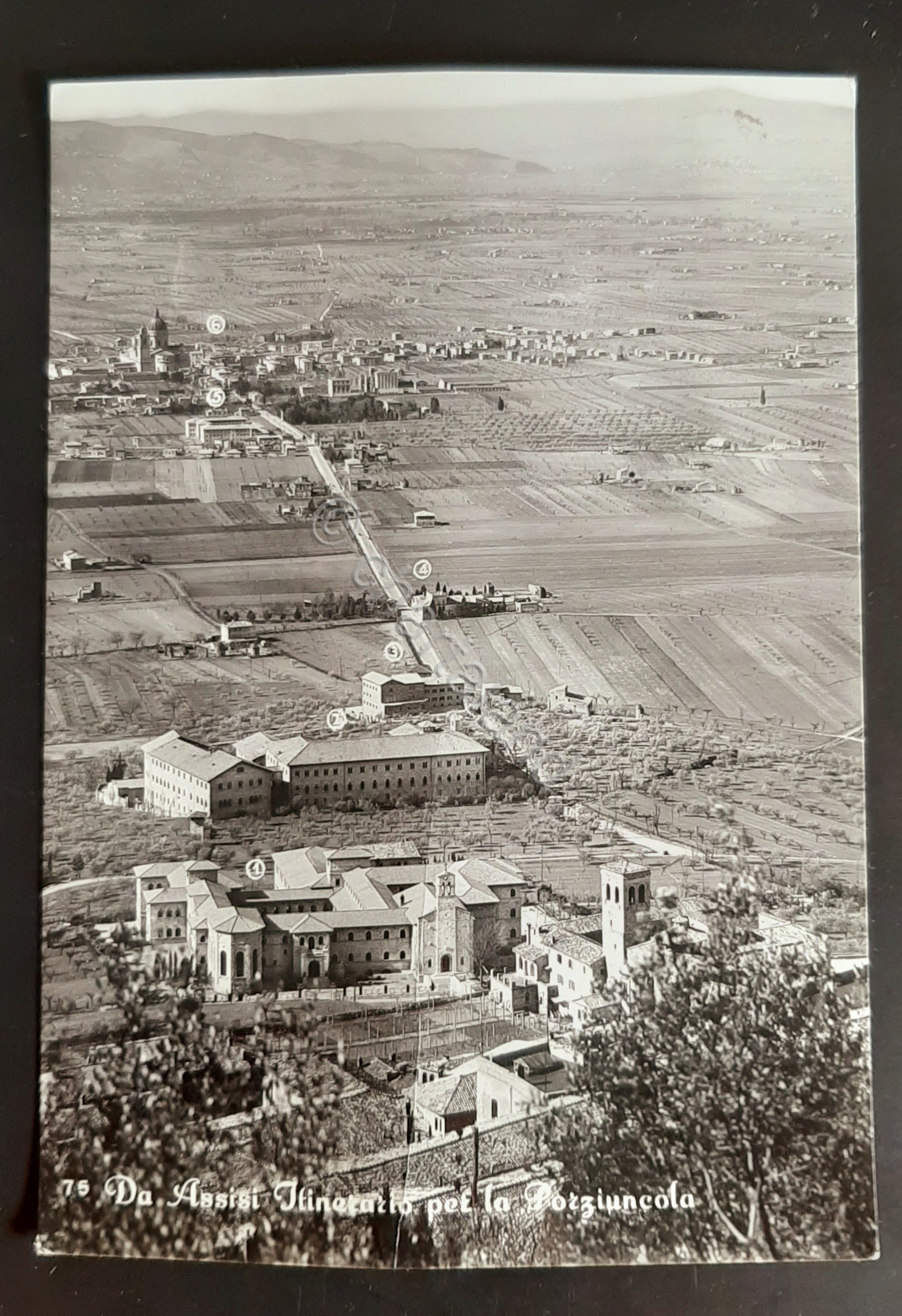 Cartolina Assisi - Itinerario per la Porziuncola - 1957
