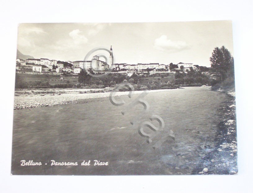Cartolina Belluno - Panorama dal Piave 1952