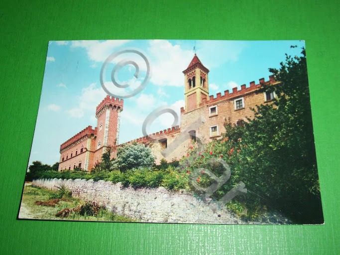 Cartolina Bolgheri - Il Castello 1970