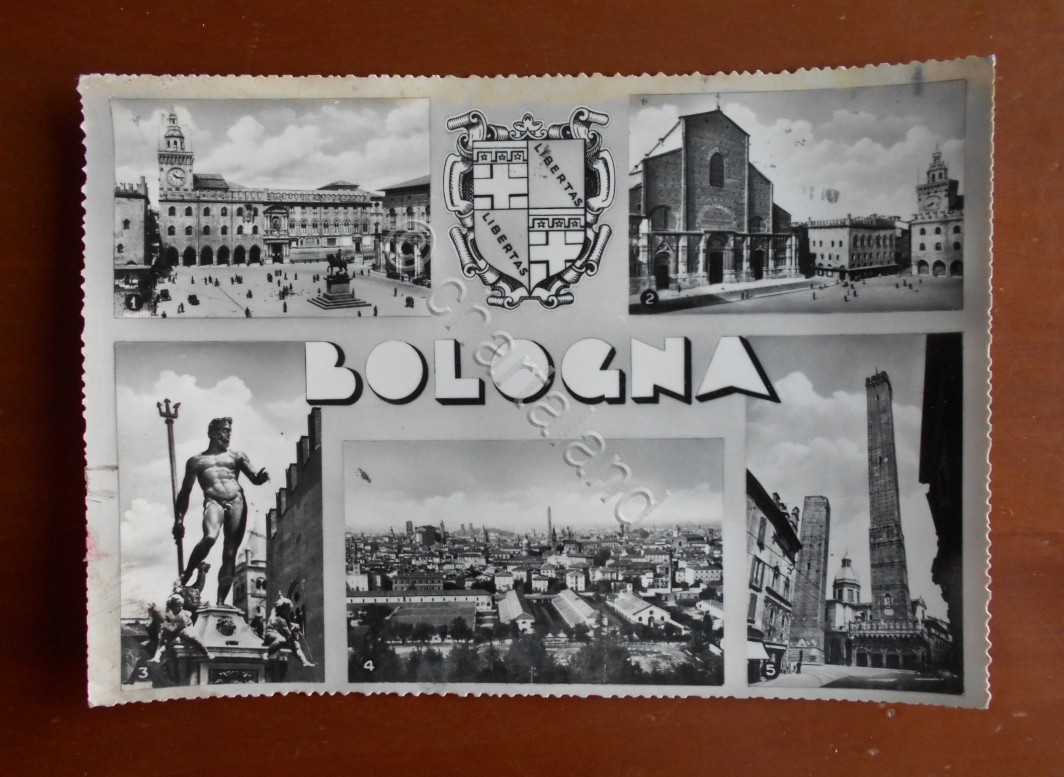 Cartolina Bologna - Vedutine - 1959