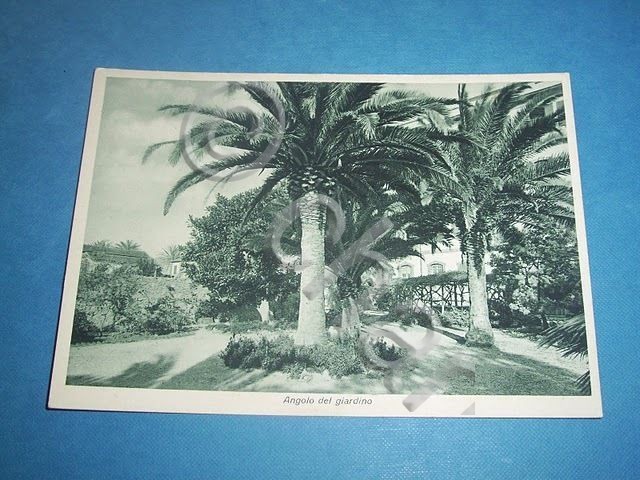 Cartolina Bordighera - Seminario Pio XI - Giardino - 1940.