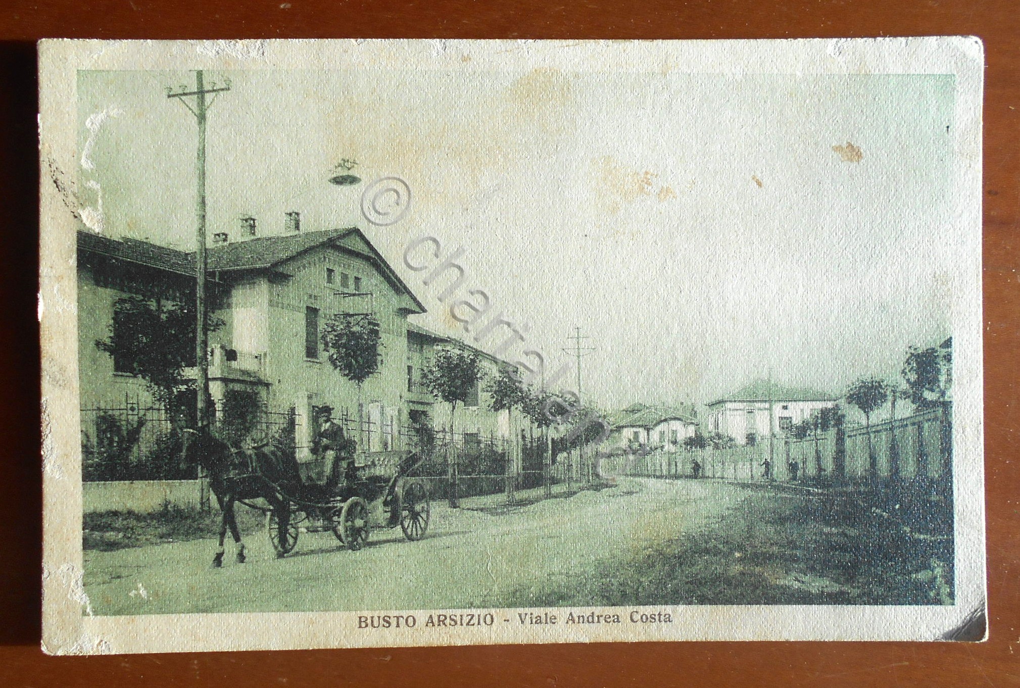 Cartolina Busto Arsizio - Viale Andrea Costa - 1930