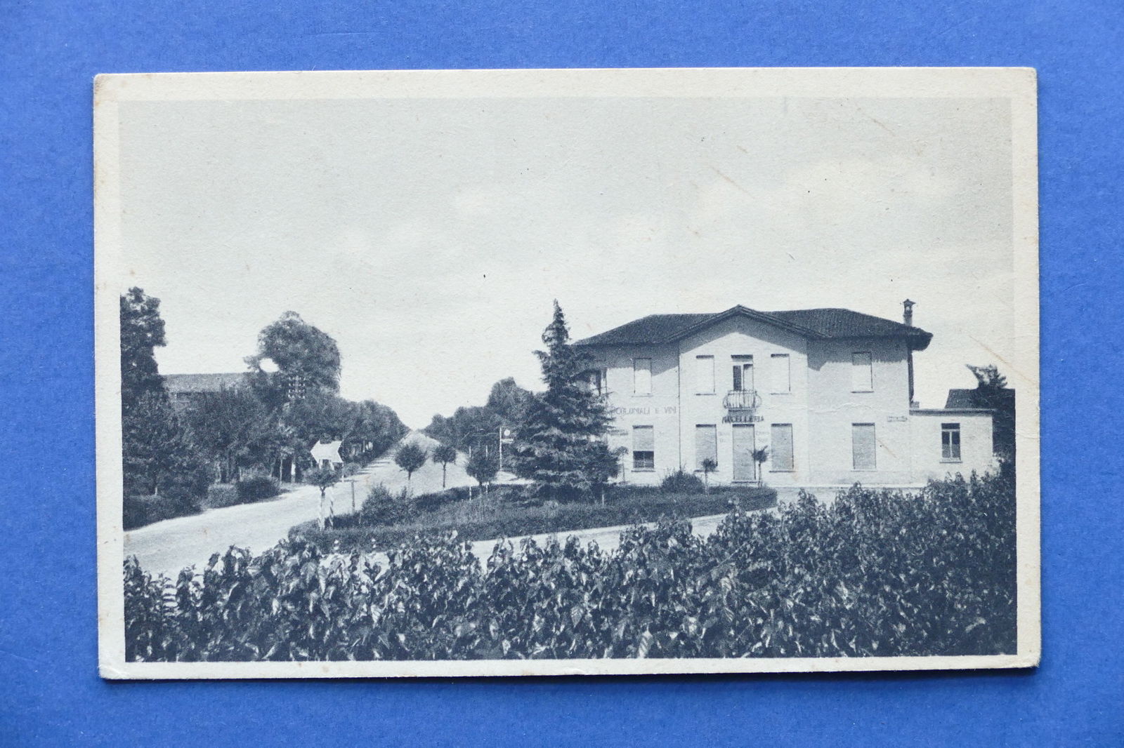 Cartolina Campoformido - Vale Udine - 1953.