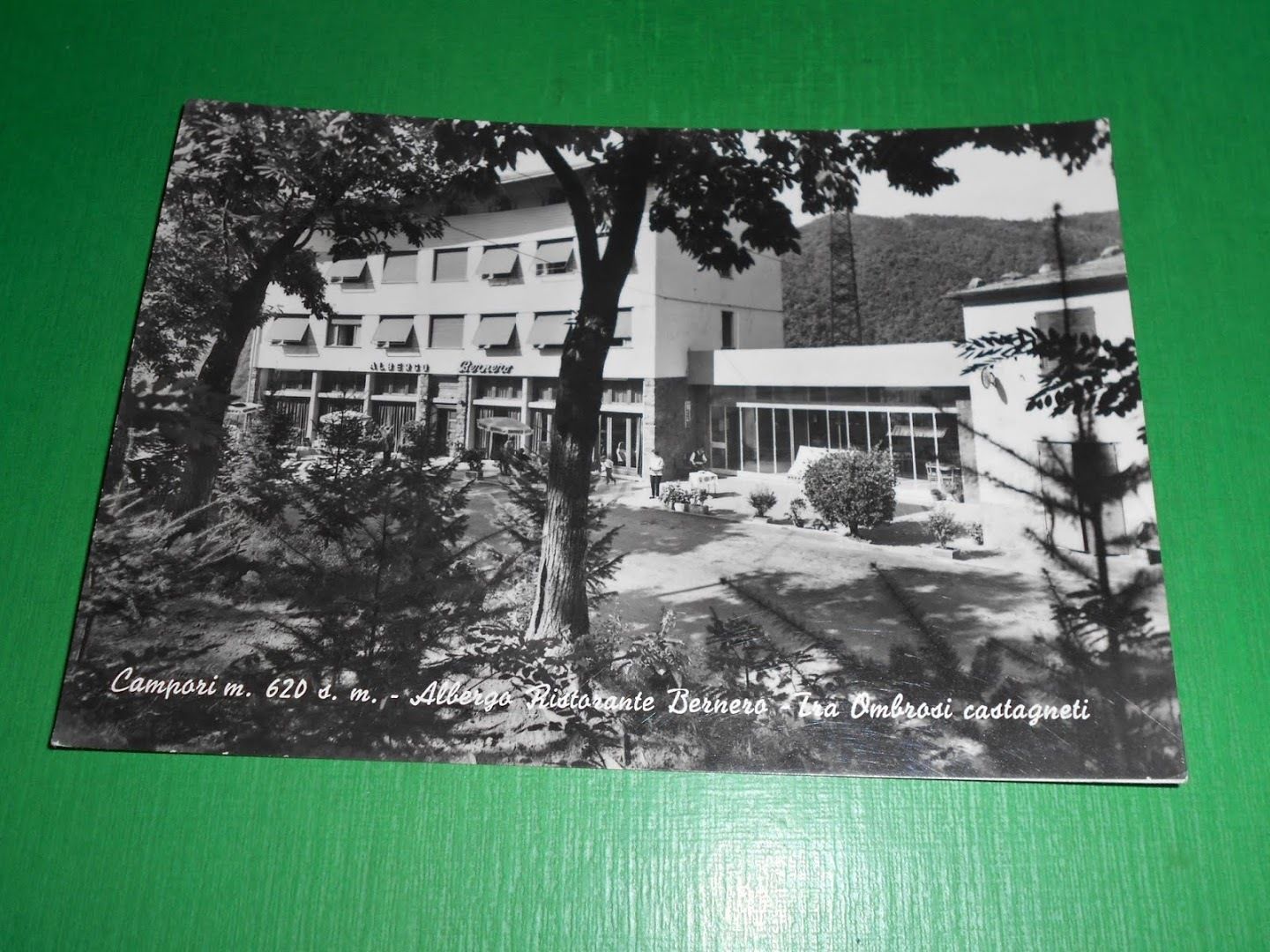 Cartolina Campori - Albergo Ristorante Bernero - Tra Ombrosi castagneti …
