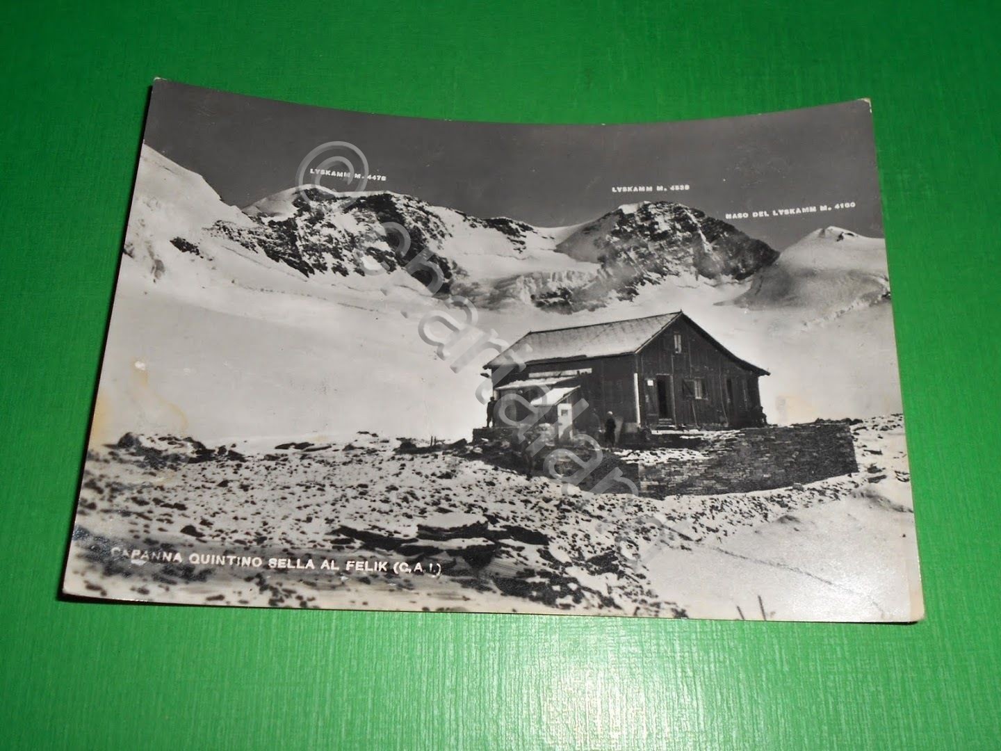 Cartolina Capanna Quintino Sella al Felik - Veduta 1955.