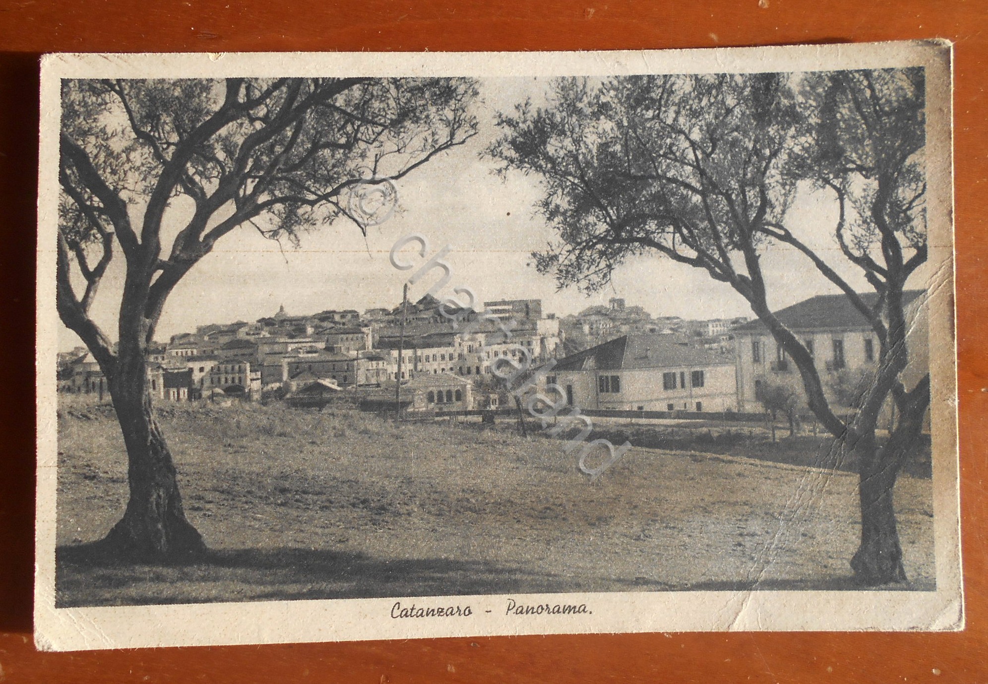 Cartolina Catanzaro - Panorama - 1943