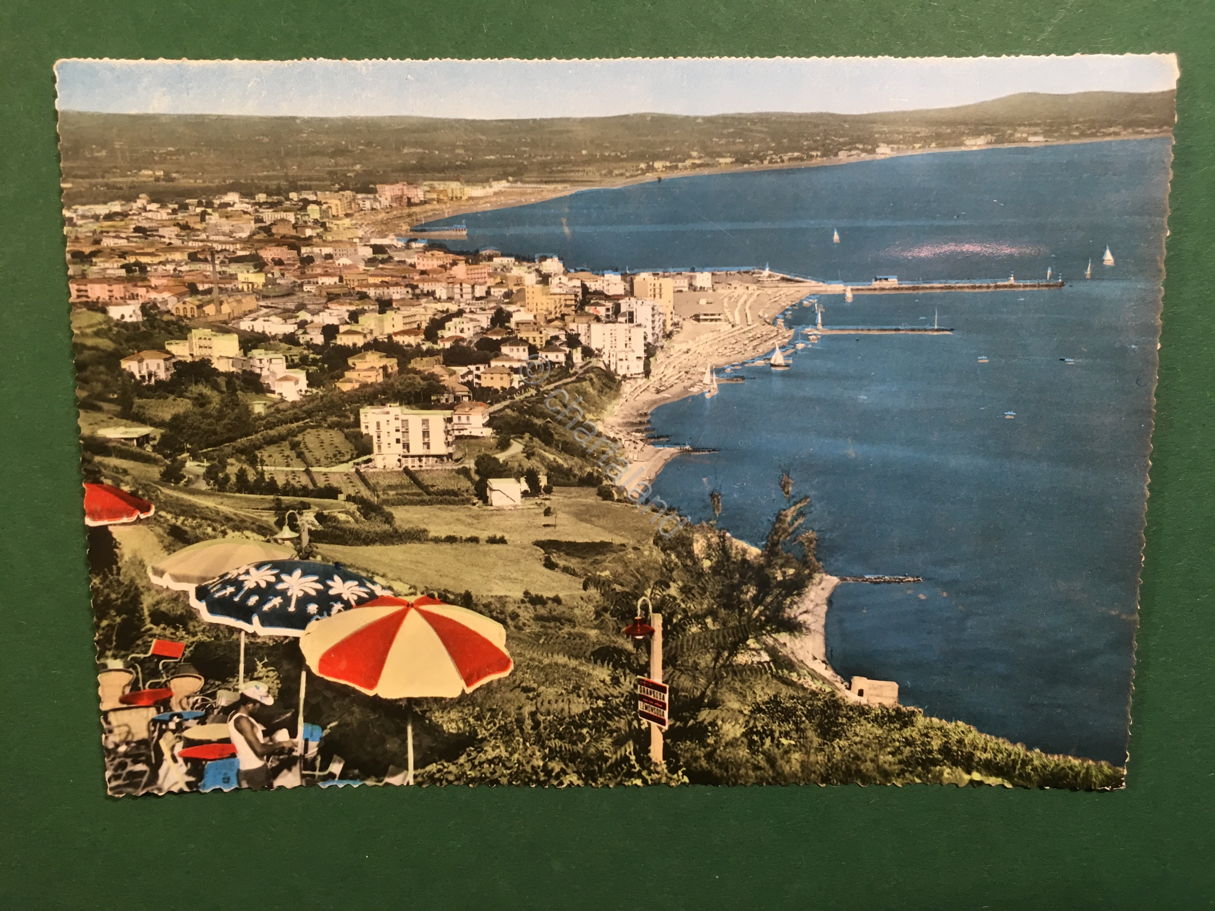 Cartolina Cattolica - Panorama Delle Colline Circostanti - 1959