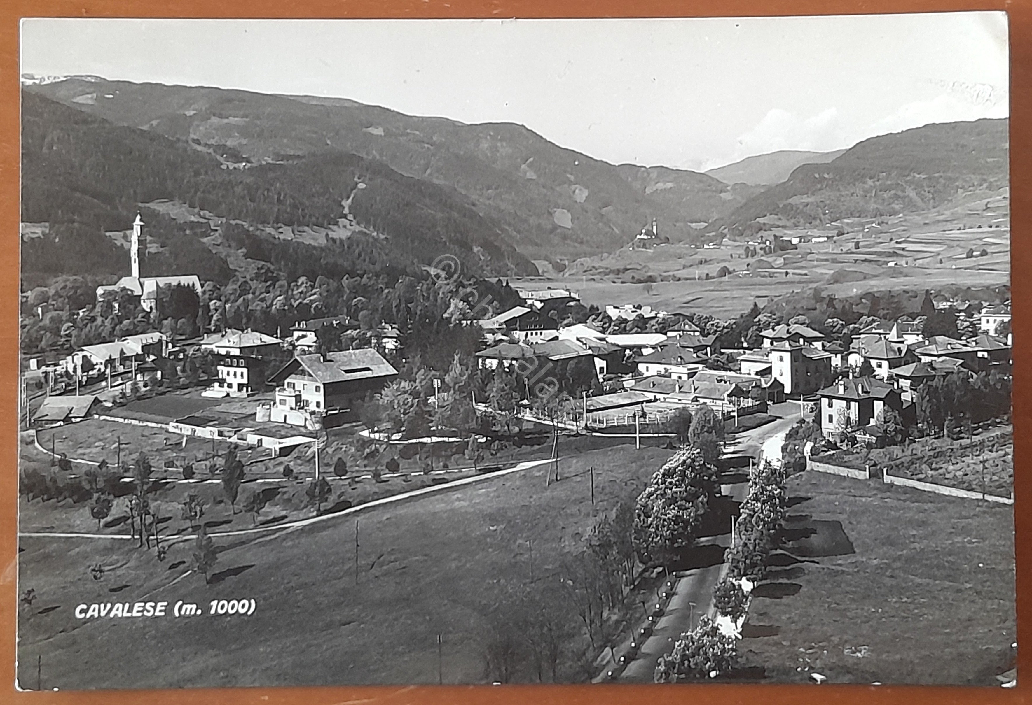 Cartolina Cavalese - 1954