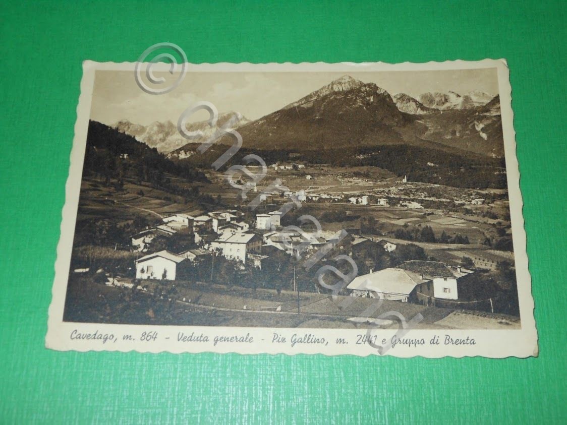 Cartolina Cavedago - Veduta generale - Piz Gallino e Gruppo …