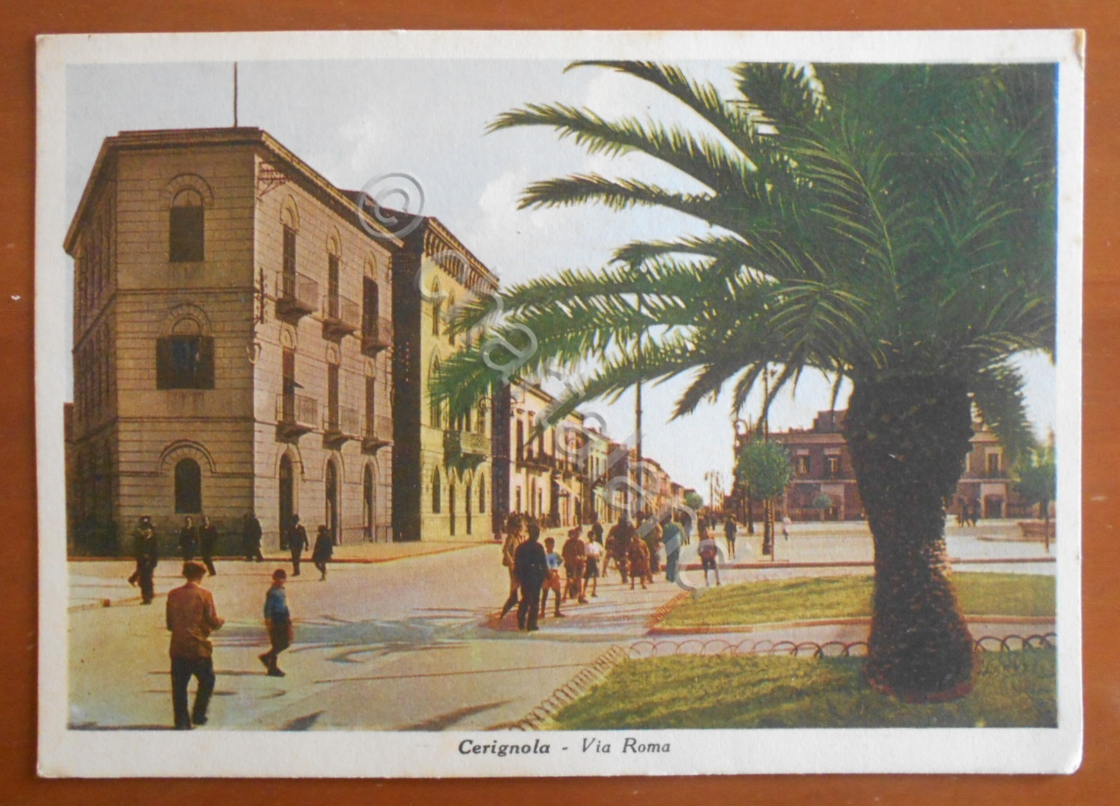 Cartolina Cerignola (Puglia) - Via Roma - 1940