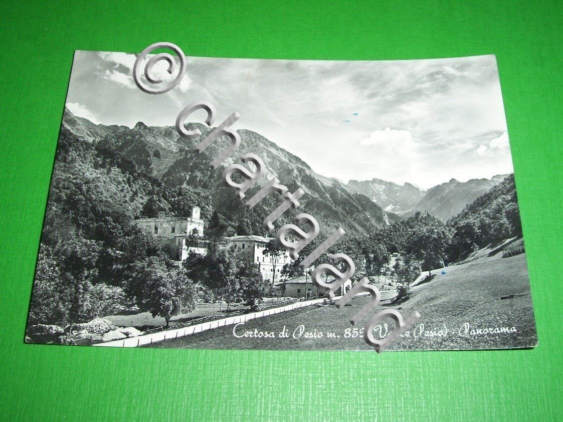 Cartolina Certosa di Pesio ( Valle Pesio ) - Panorama …