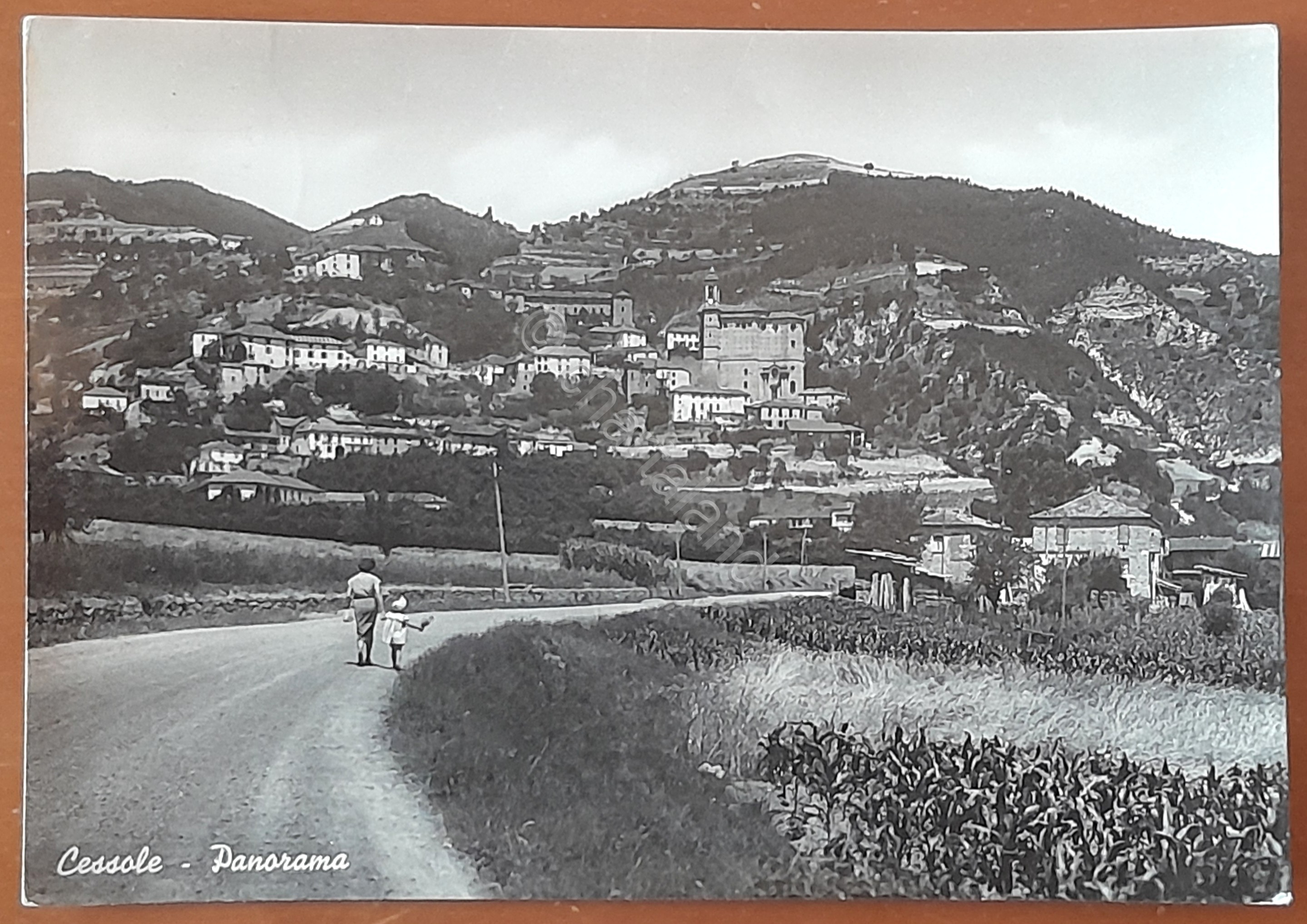 Cartolina Cessole - Panorama - 1954