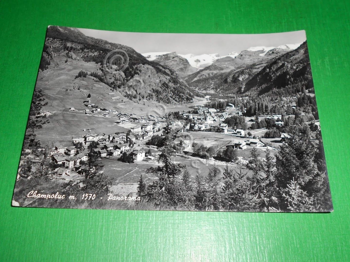 Cartolina Champoluc - Panorama 1961.
