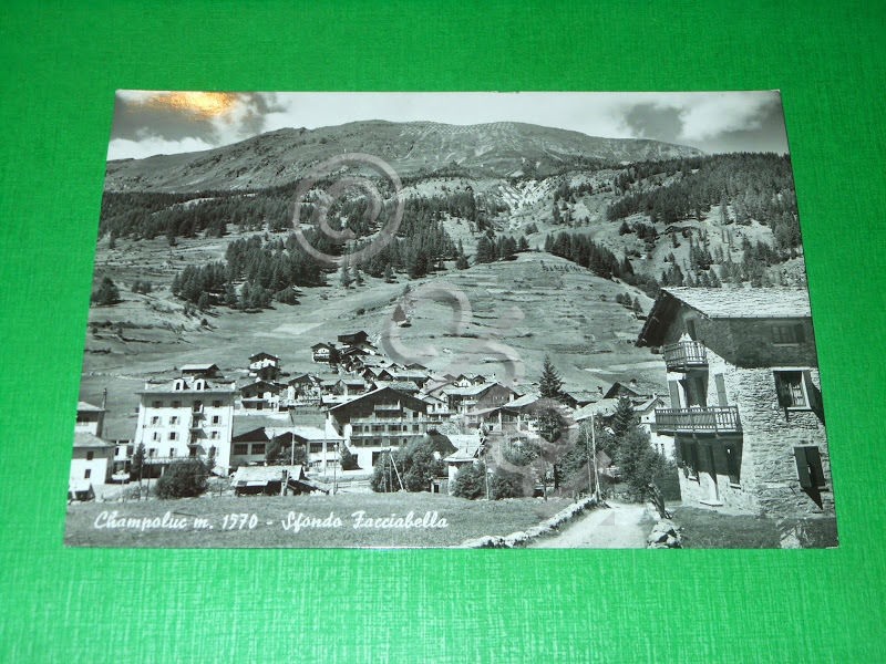 Cartolina Champoluc - Sfondo Facciabella 1955 ca.