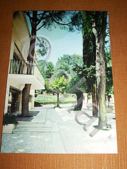 Cartolina Chianciano Terme - Sorgente S. Elena - Parco 1966.