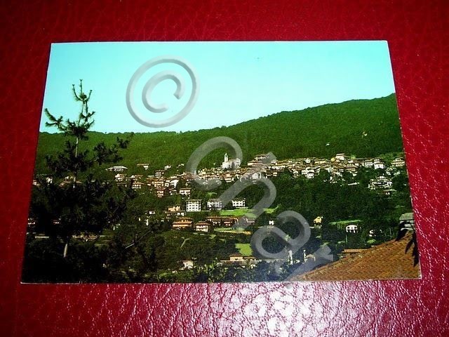 Cartolina Colazza (Novara) - Panorama 1992.