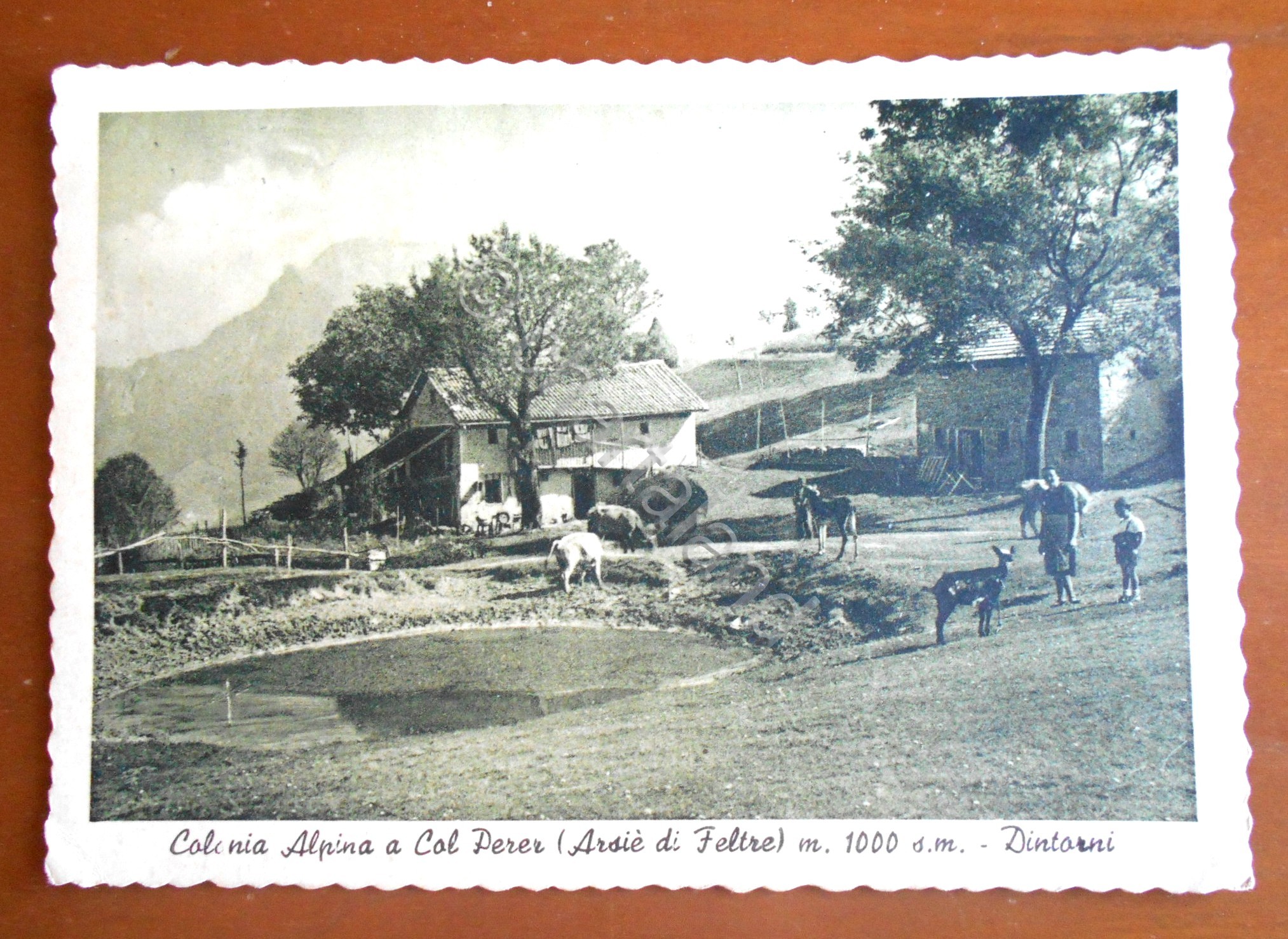 Cartolina Colonia alpina a Col Perer - 1953