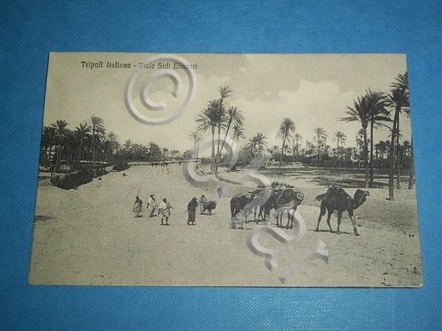 Cartolina Colonie Tripoli - Viale Sidi Elmasri 1912
