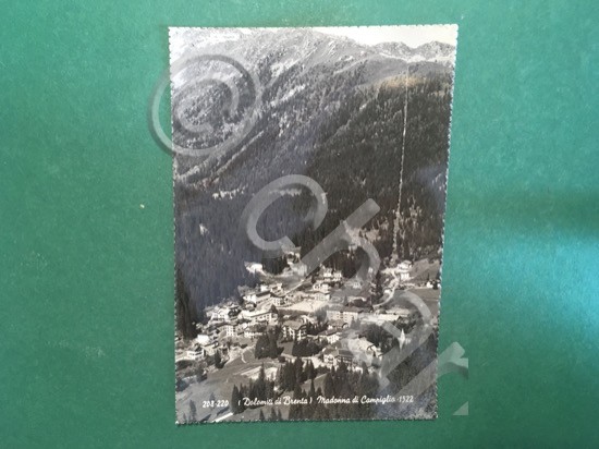 Cartolina Dolomiti di Brenta - Madonna di Campiglio - 1960