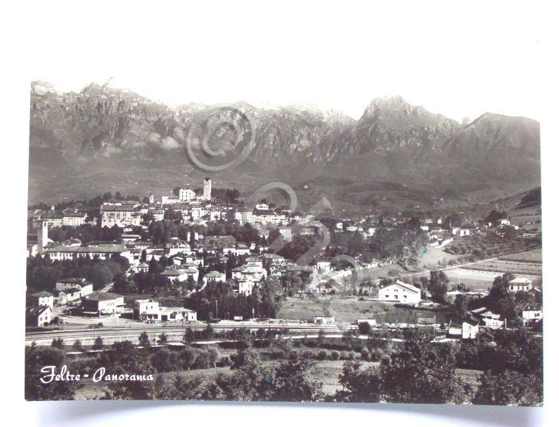Cartolina Feltre ( Belluno ) - Panorama 1962