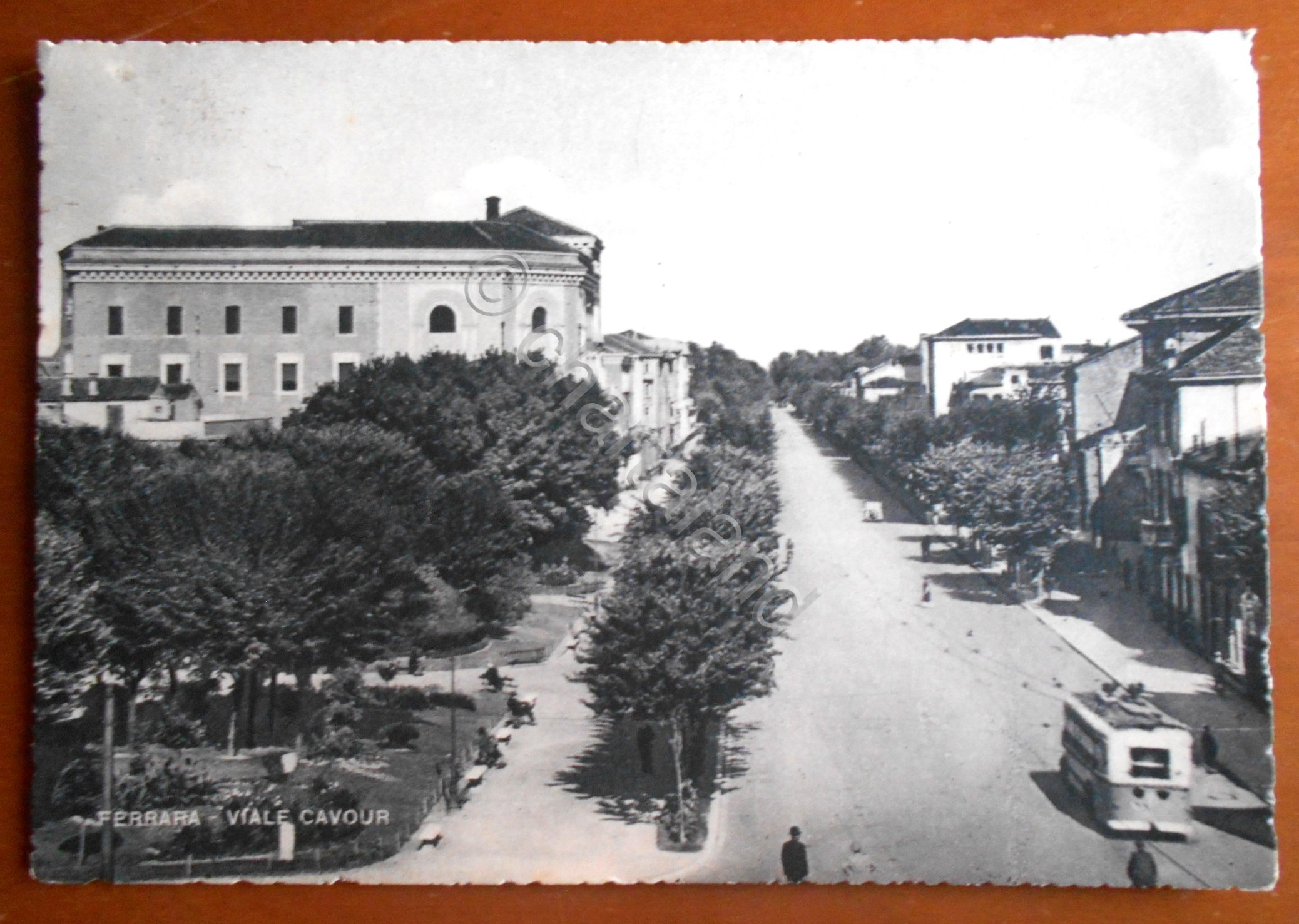Cartolina Ferrara - Viale Cavour - 1949