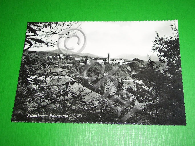 Cartolina Filattiera ( Massa ) - Panorama 1950 ca.