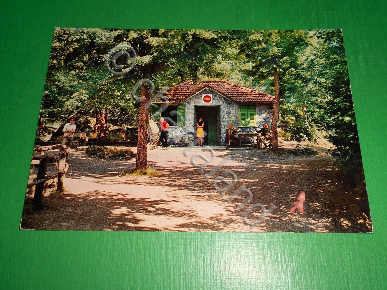 Cartolina Fontanigorda - Bosco delle Fate - Bar 1974