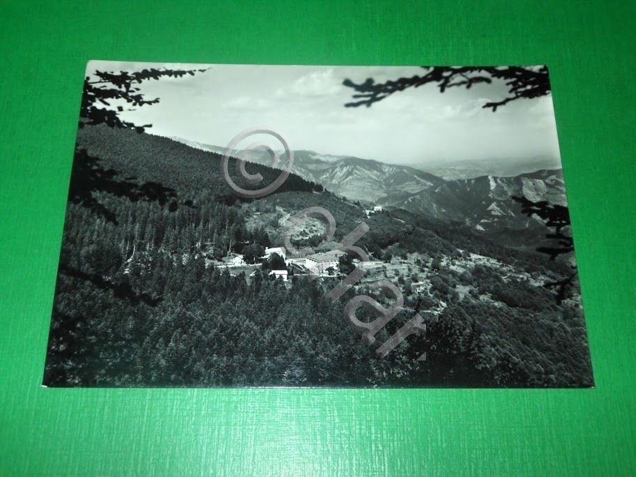 Cartolina Foresta di Campigna - Belvedere dell' Appennino Tosco Romagnolo …