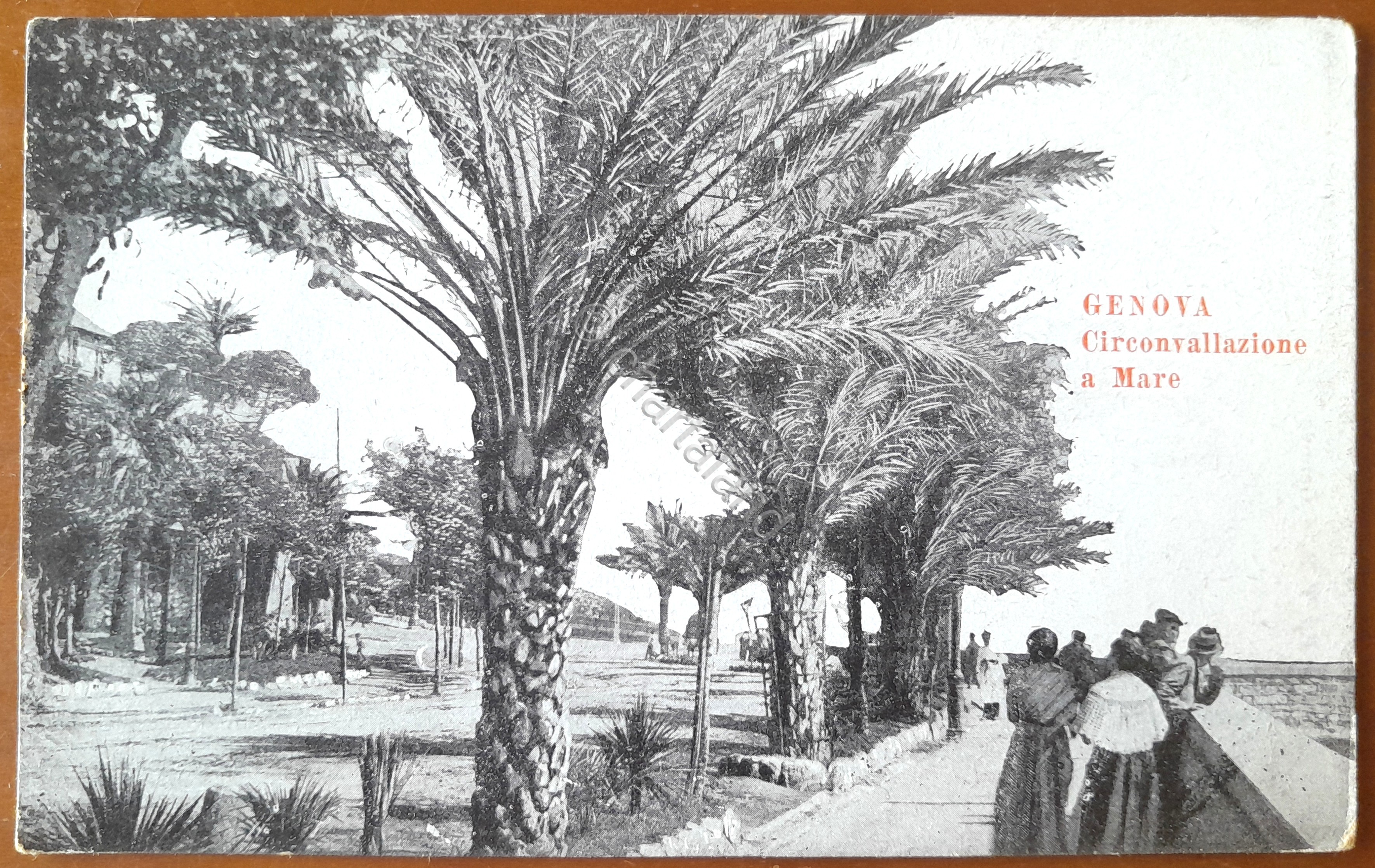 Cartolina Genova - Circonvallazione a Mare - 1910 ca.