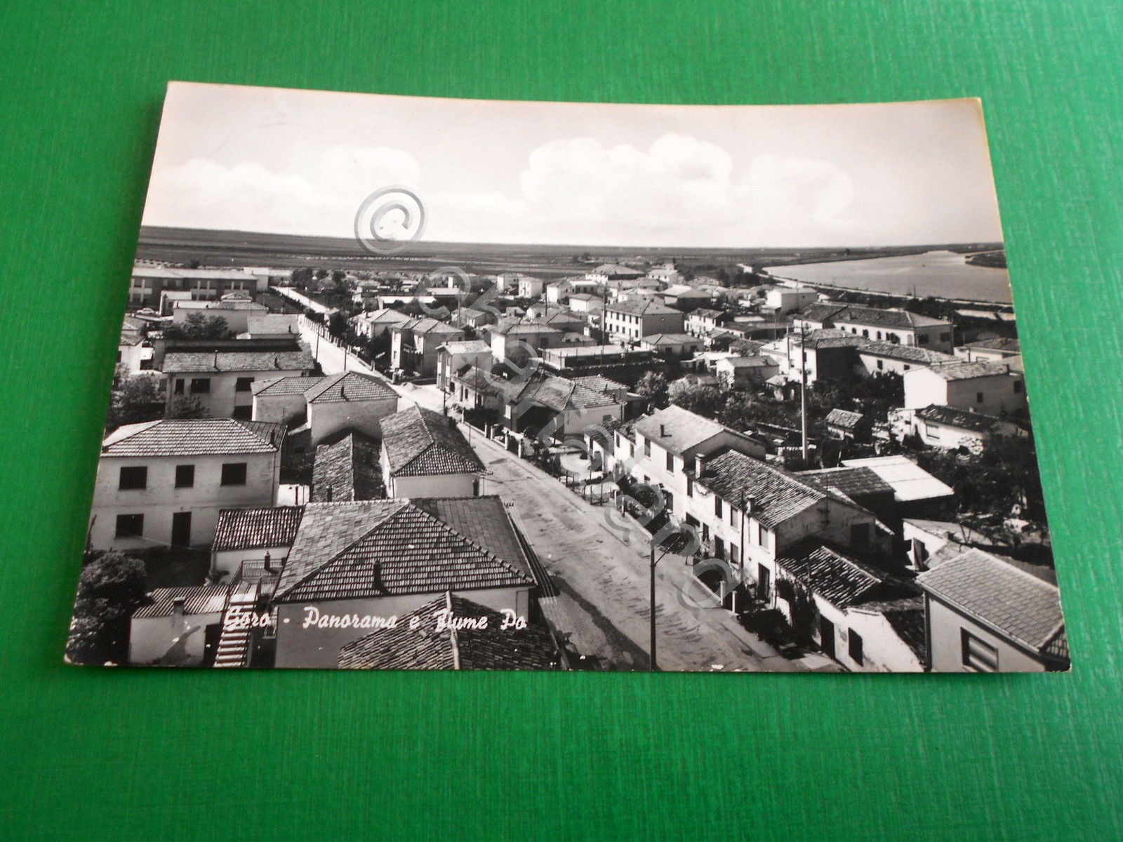 Cartolina Goro ( Ferrara ) - Panorama e Fiume Po …