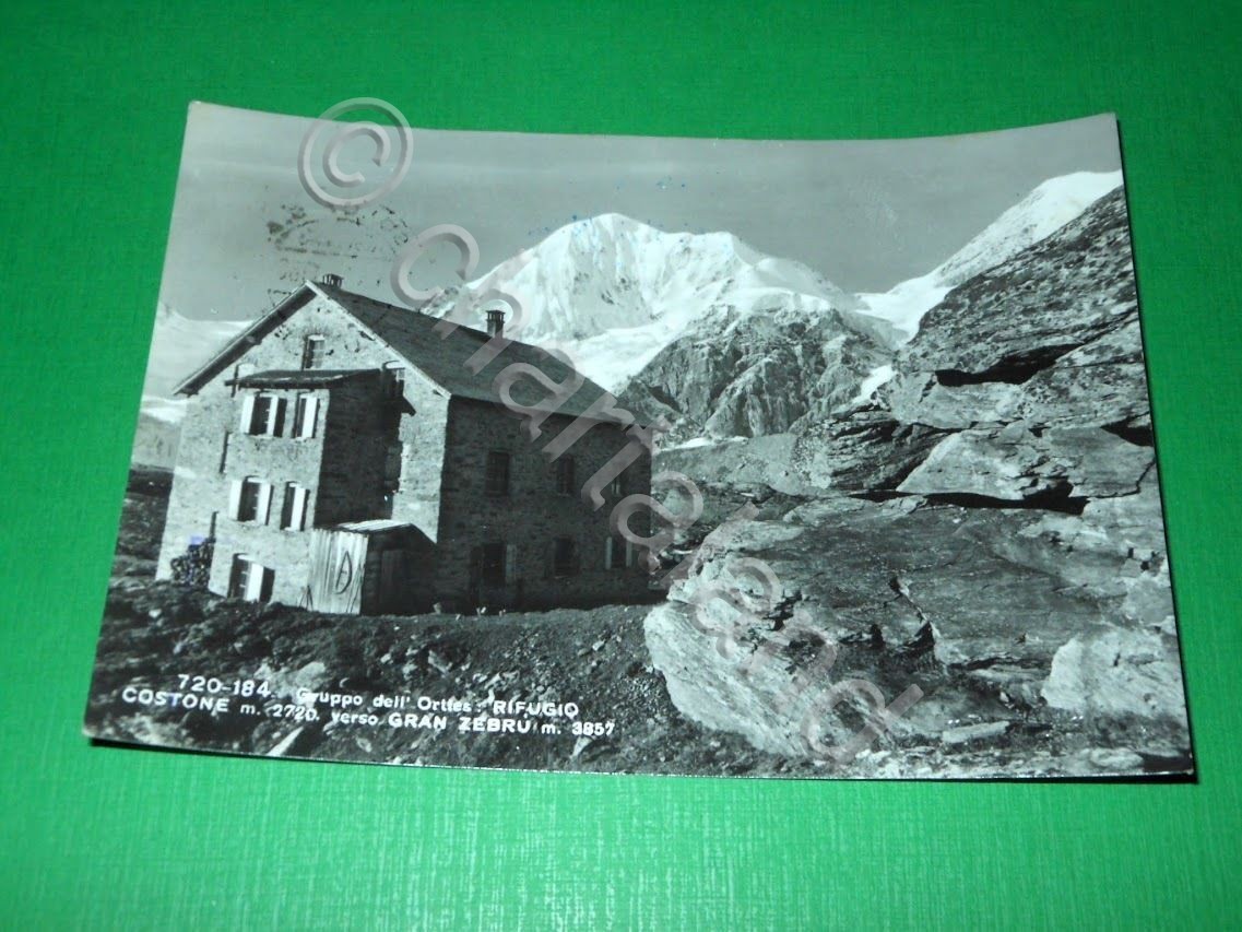 Cartolina Gruppo dell' Ortles - Rifugio Coston verso Gran Zebru …