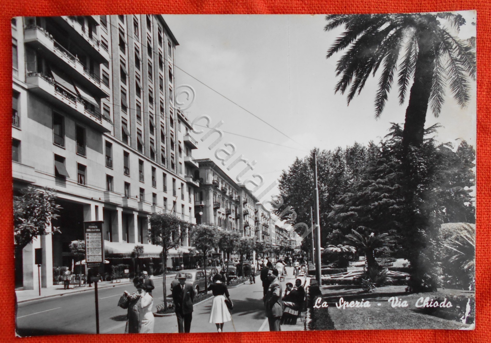 Cartolina La Spezia - Via Chiodo - 1959