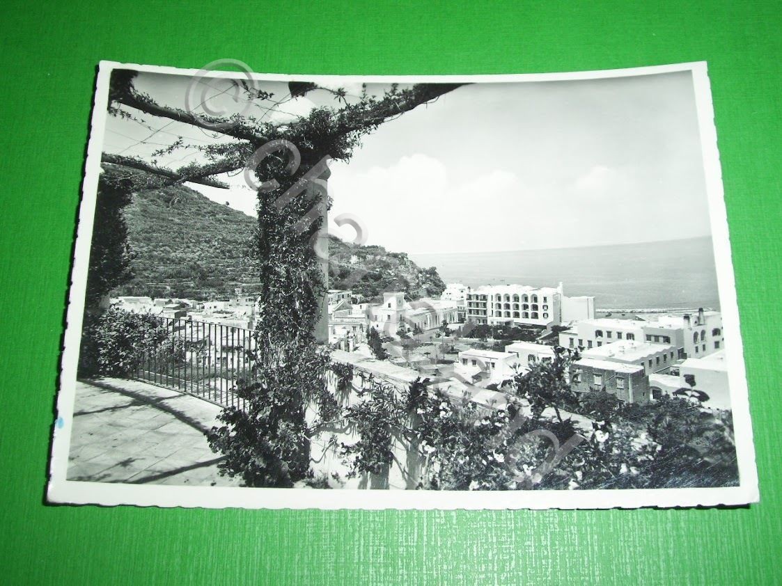 Cartolina Lacco Ameno ( Isola d' Ischia ) - Hotel …