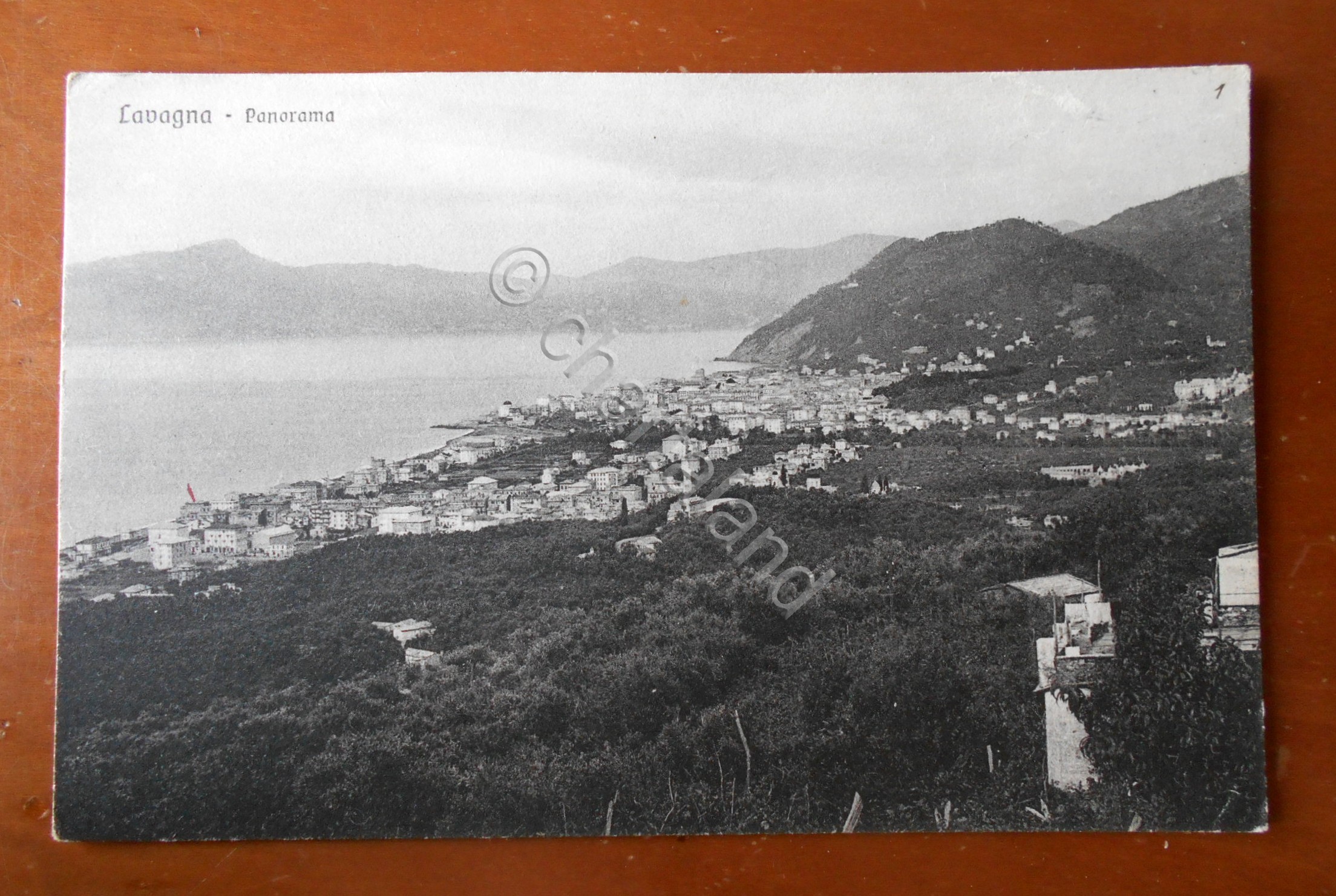 Cartolina Lavagna (Liguria) - Panorama - 1934