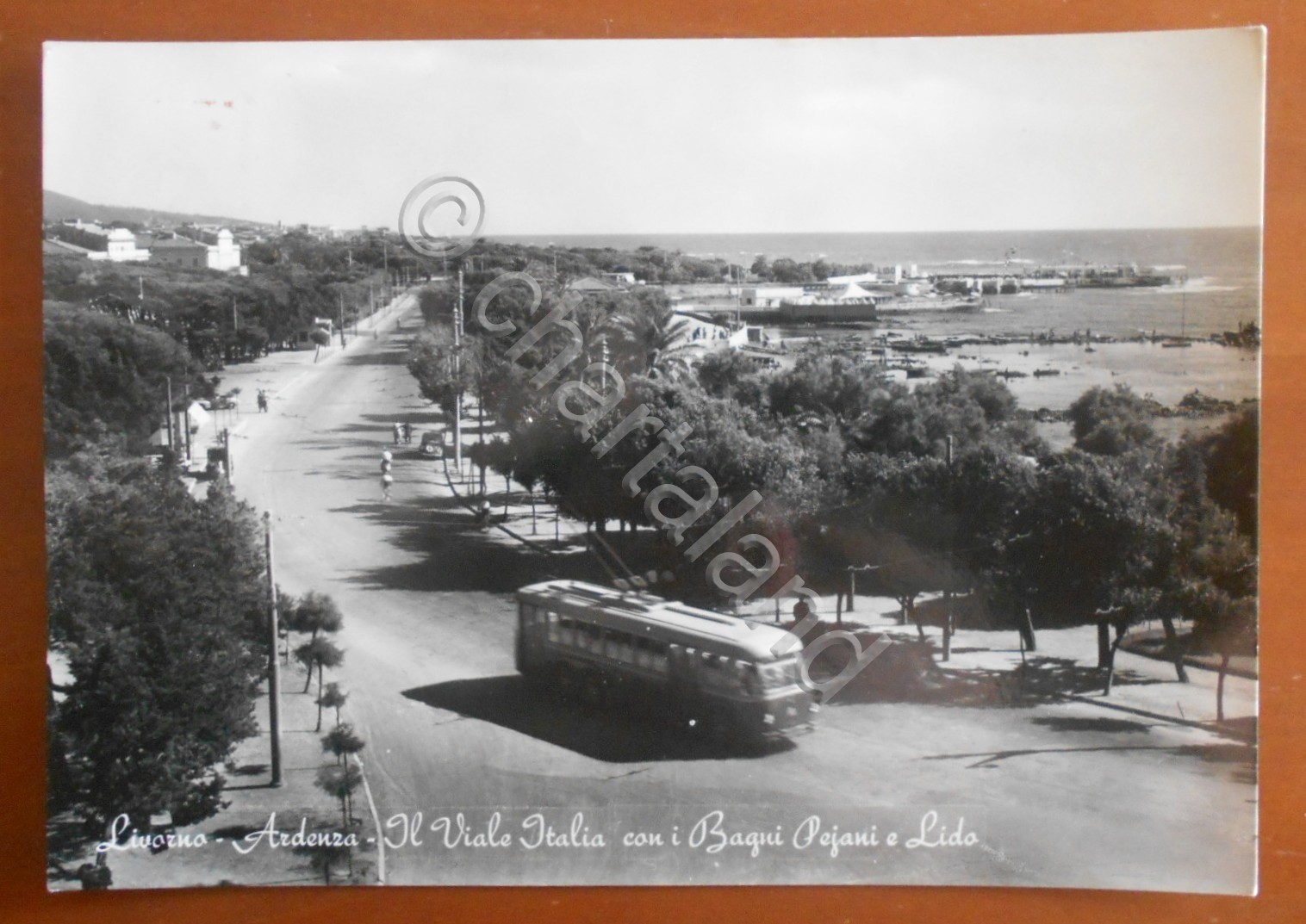 Cartolina Livorno - Ardenza - Il Viale Italia con i …