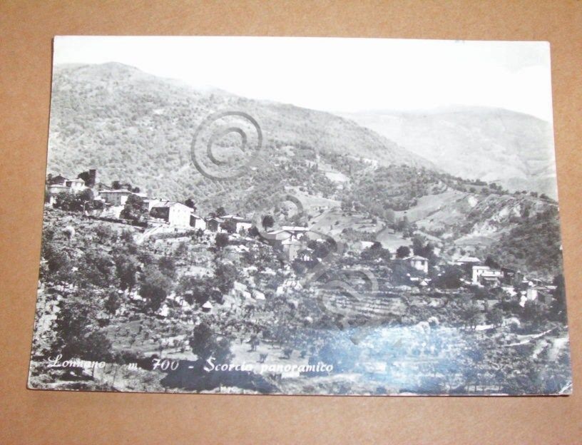 Cartolina Lonnano ( Arezzo ) - Panorama 1969.