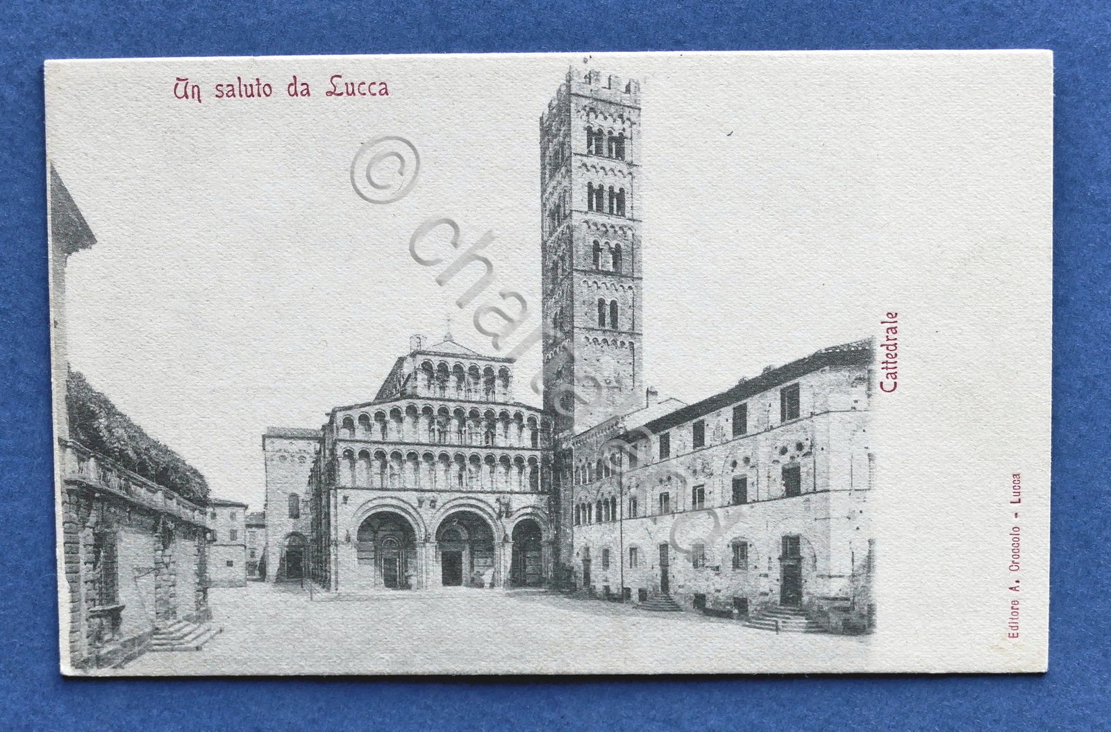 Cartolina Lucca - Cattedrale - 1900 ca..