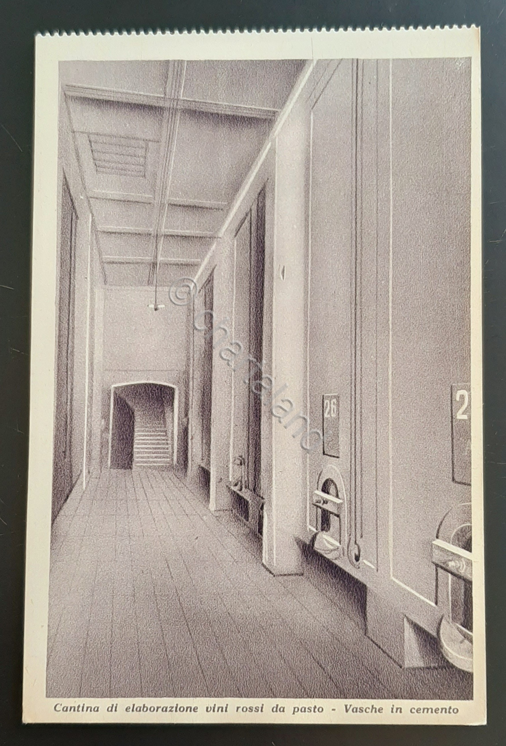 Cartolina Luigi Calissano e Figli - Alba - Vasche in …