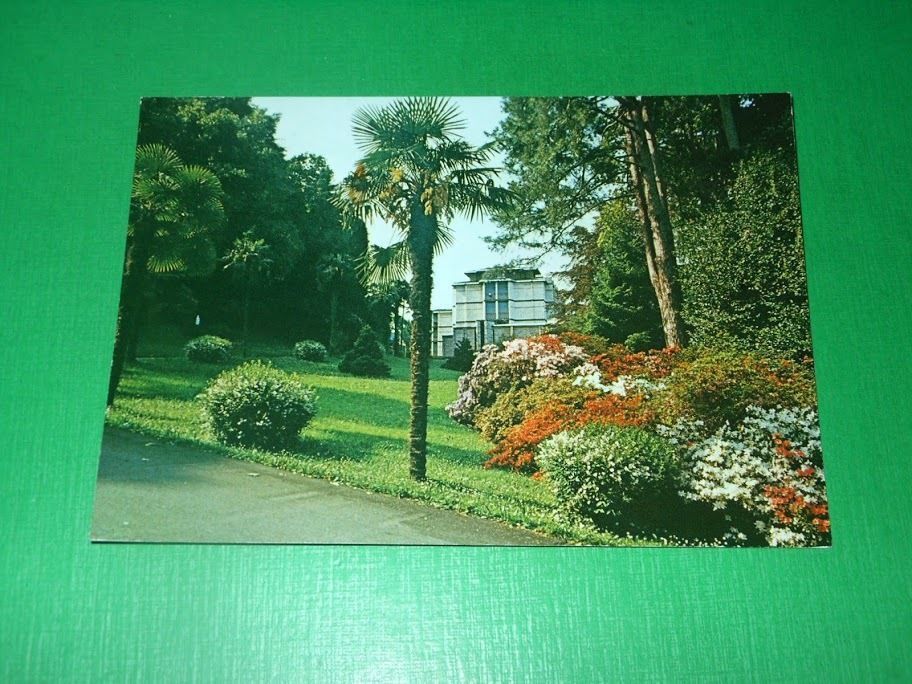 Cartolina Luino ( Varese ) - Fonteviva 1987.