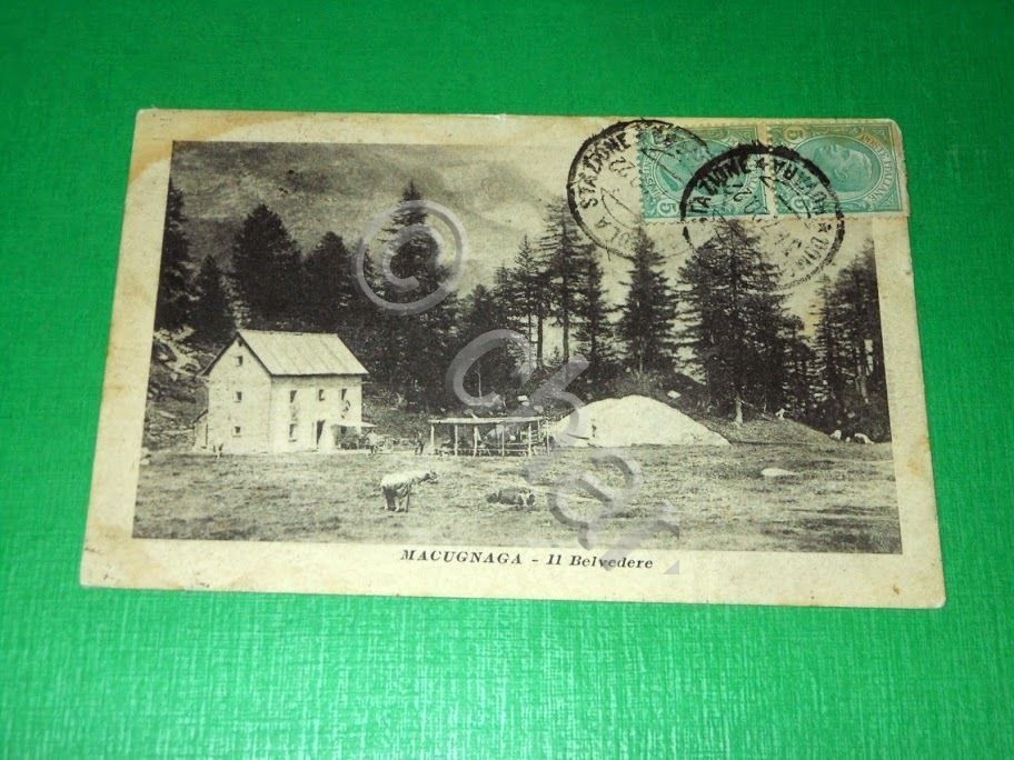 Cartolina Macugnaga - Il Belvedere 1920.