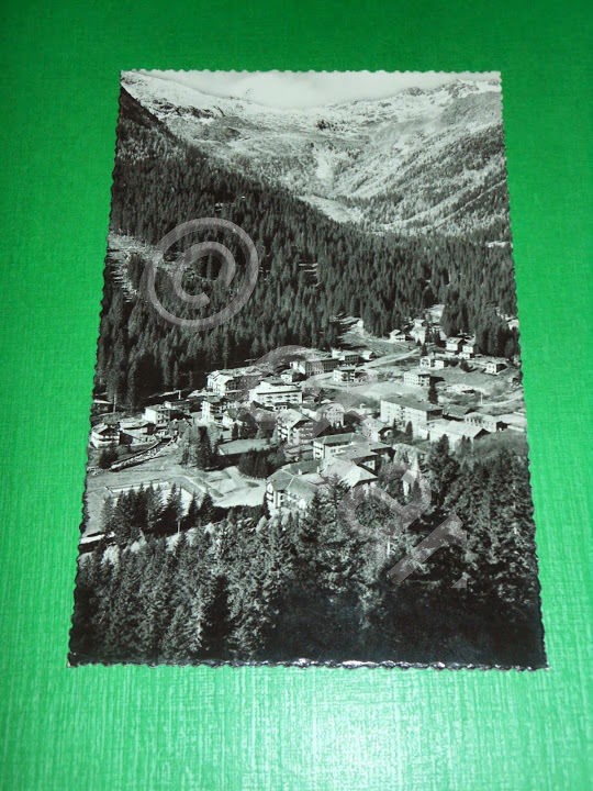 Cartolina Madonna di Campiglio - Dolomiti di Brenta 1940 ca.