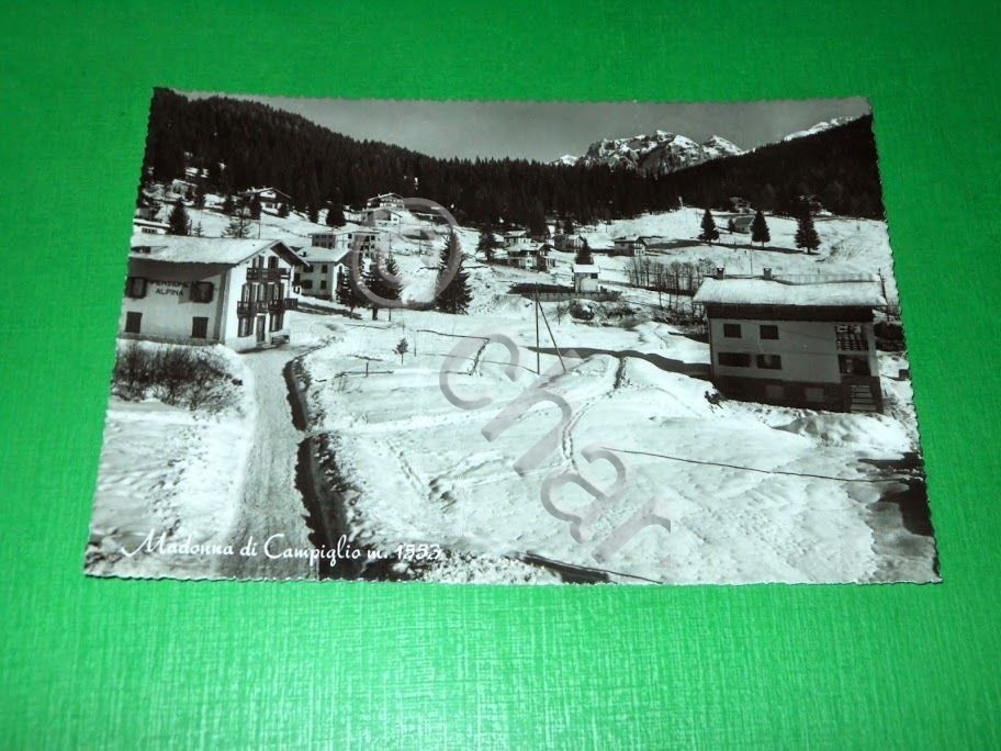 Cartolina Madonna di Campiglio - Scorcio panoramico 1955 ca.