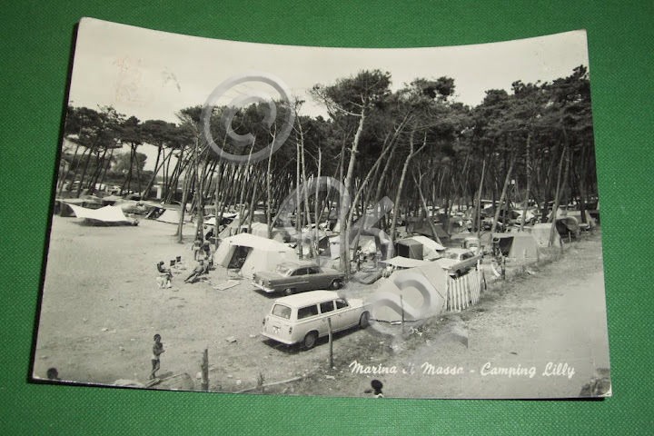 Cartolina Marina di Massa - Camping Lilly 1964.