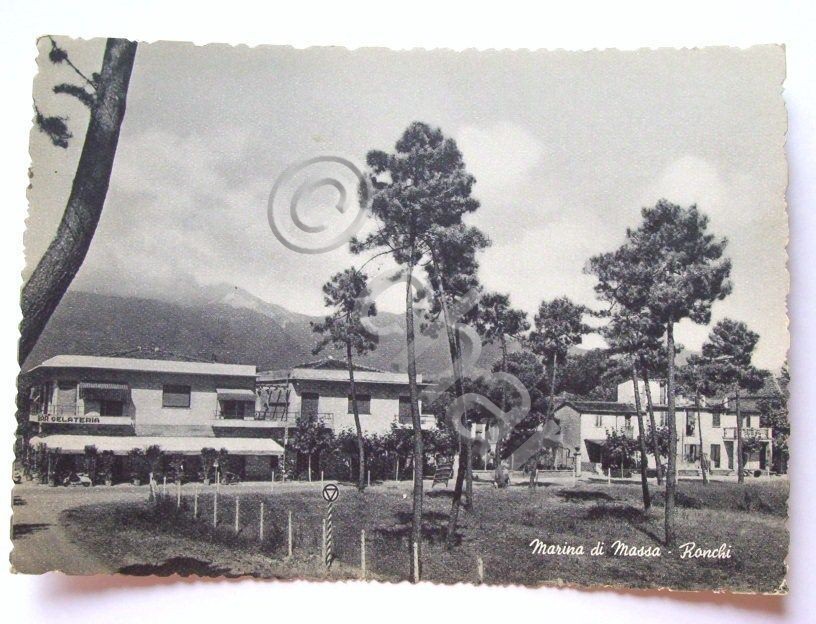 Cartolina Marina di Massa - Ronchi - Panorama 1962.